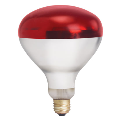 EHL-BR - Shatter-Resistant Bulb, 250W, Red