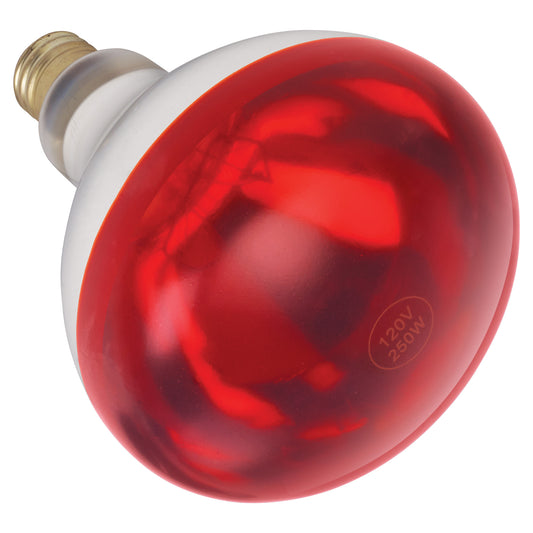 EHL-BR - Shatter-Resistant Bulb, 250W, Red