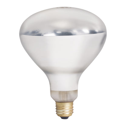 EHL-BW - Shatter-Resistant Bulb, 250W, Clear