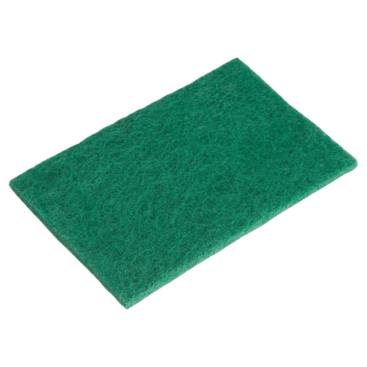 SP-96N - Nylon Scouring Pads, 6-Pieces/Pack