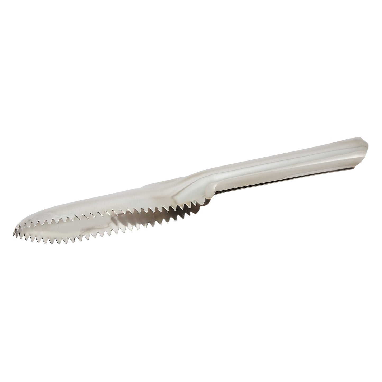 FSP-9 - 9-1/2" Fish Scaler, Stainless Steel