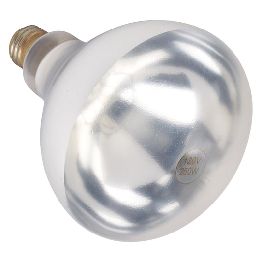 EHL-BW - Shatter-Resistant Bulb, 250W, Clear