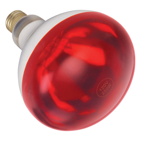 EHL-BR - Shatter-Resistant Bulb, 250W, Red